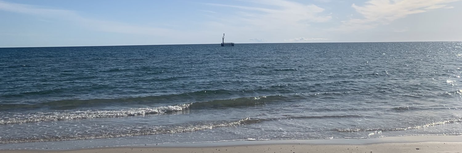 ryan 🇵🇸 banner