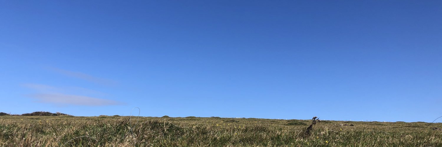 mrs_blakeley's profile banner image