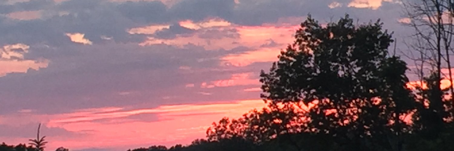 Amarie Johnson PhD banner