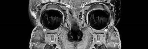 AdonisKing's profile banner image