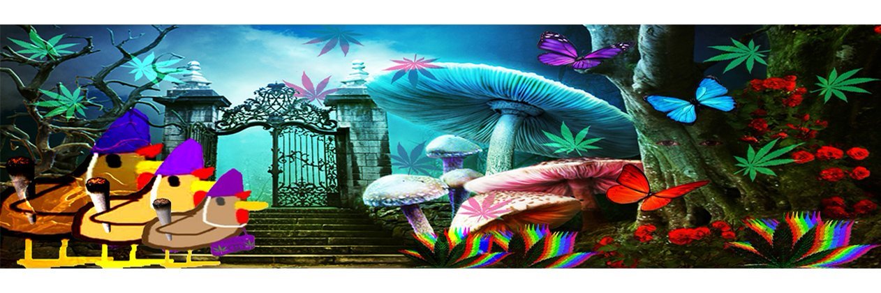 Tom Bidule 🐔 banner