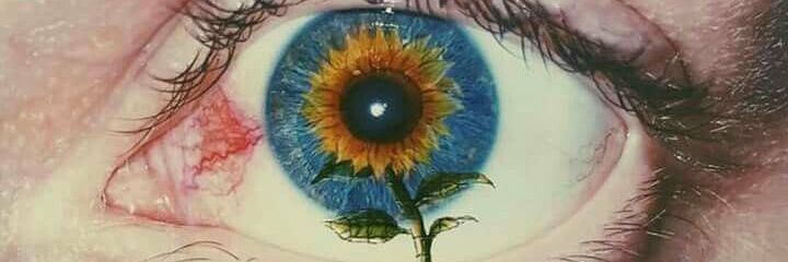 Chico9311's profile banner image