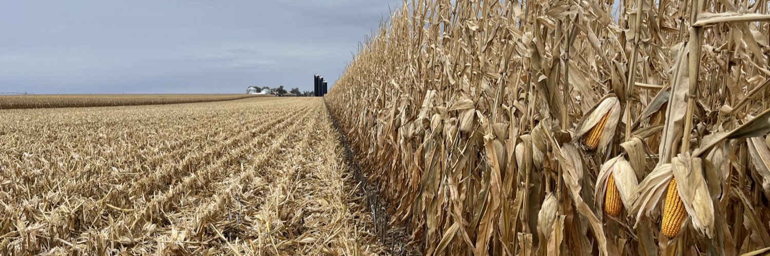 🇺🇸🌽Andy Jobman🌽🇺🇸 banner
