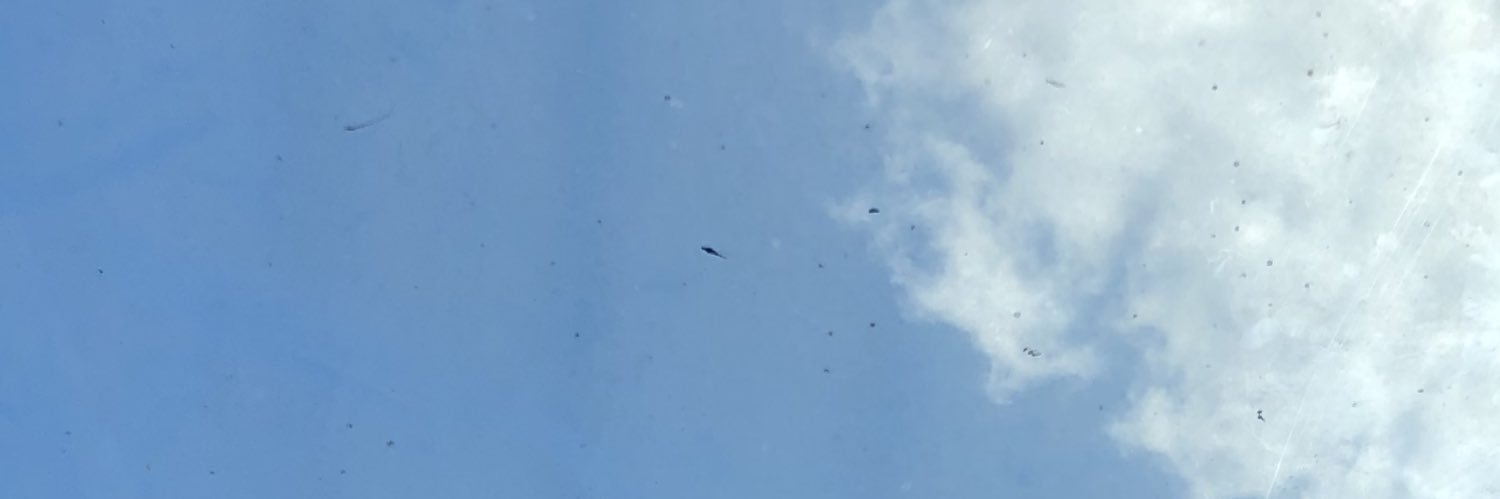 หยู่เยียน banner