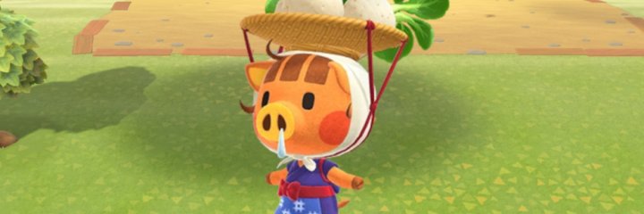 Turnips Exchange banner