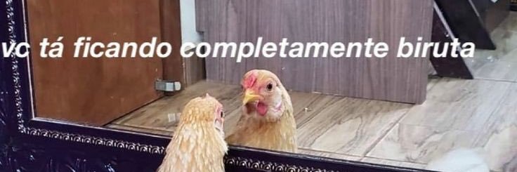 amandaqcomenta's profile banner image