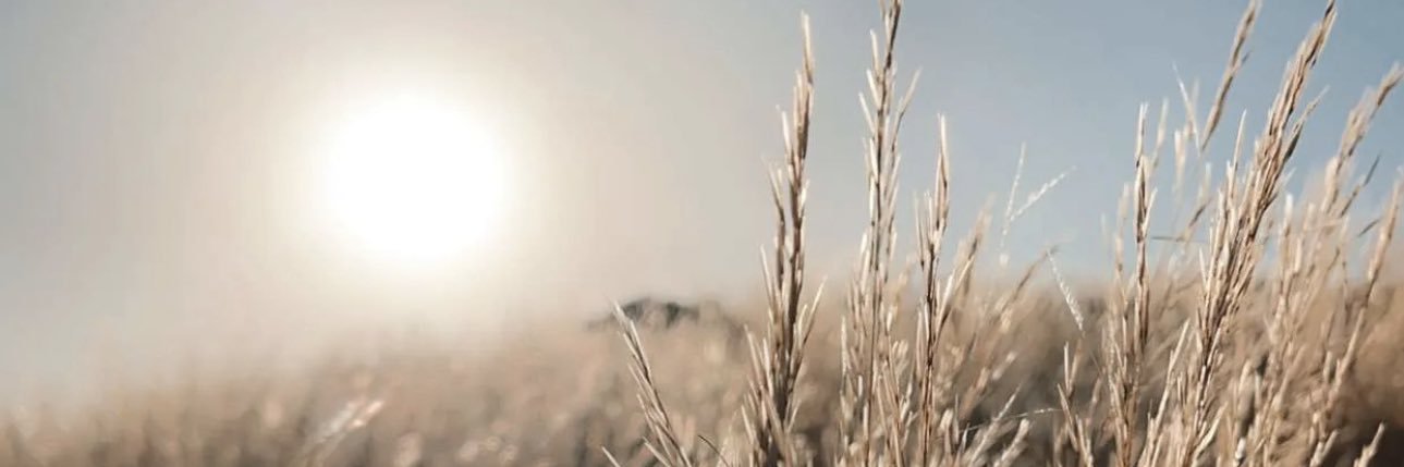 صلِ على النبيّ banner