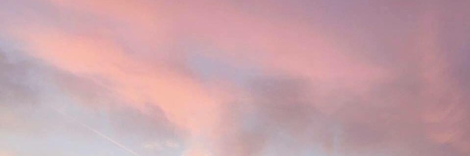 Rosé banner