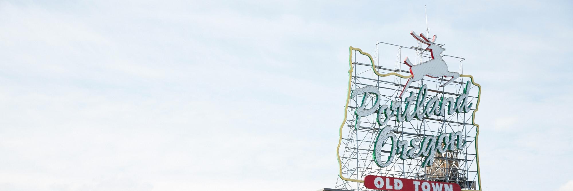 drlampee's profile banner image