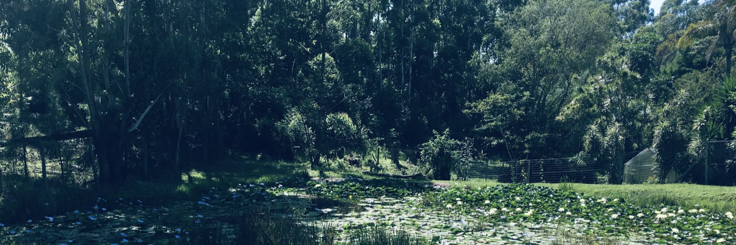 chynnaman's profile banner image