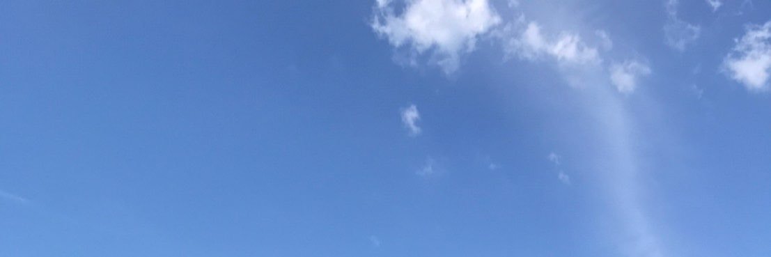 ｻｸﾗ banner
