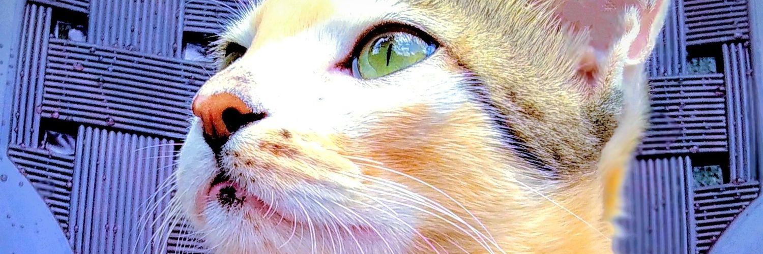 AKMhasane's profile banner image
