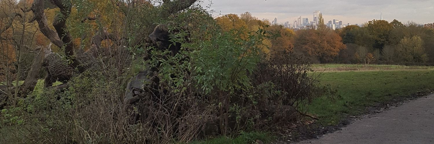 la_dams's profile banner image