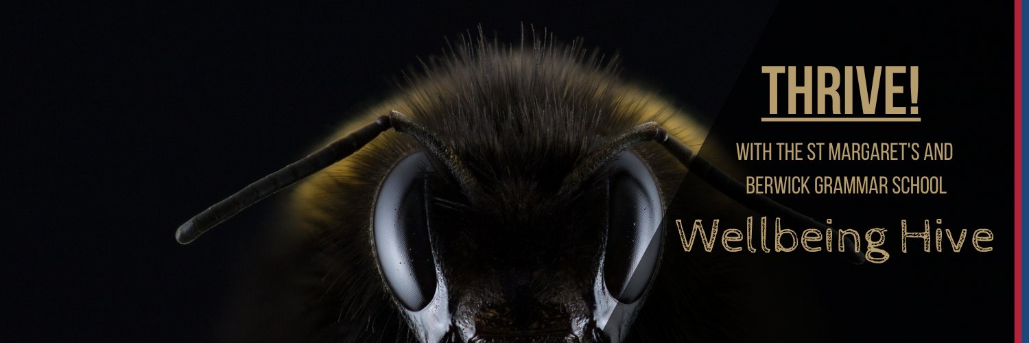 SMSBGSWellbeingHive banner