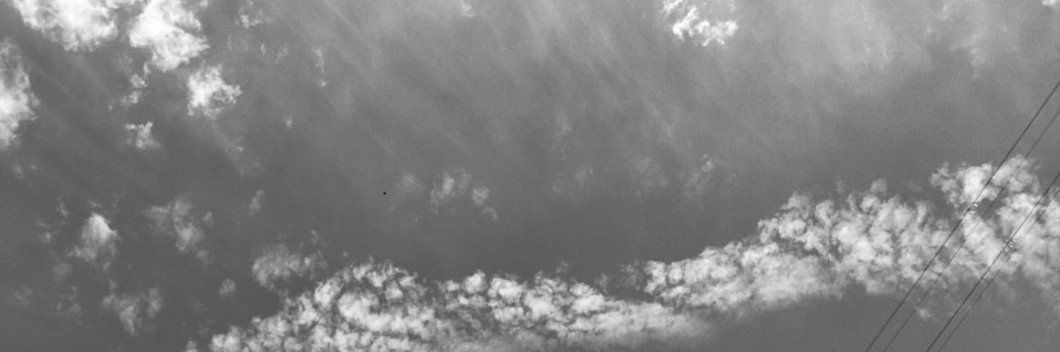 Raquel 🌘 banner