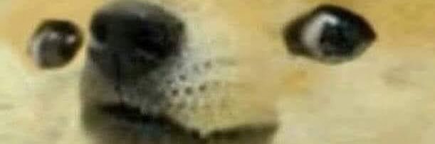 𝑀𝑝𝑠𝑥. banner
