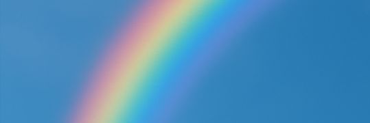 にのドラ🌛 banner
