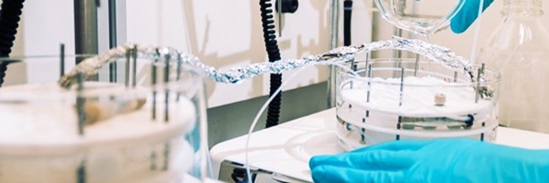 Maximilian Besenhard banner