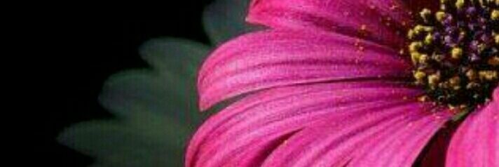 •  ‏sarab ღ • banner