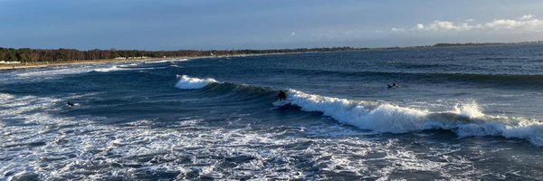 agligorijevic Profile Banner