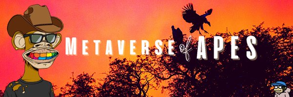 Metaverse of Apes 🦧 Profile Banner