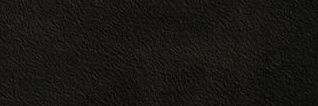 Z. ༺ ♡ ༻ banner