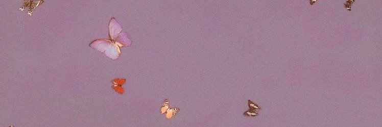 🐿 banner