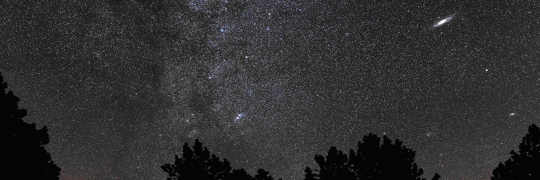 Daniel Cornalba banner