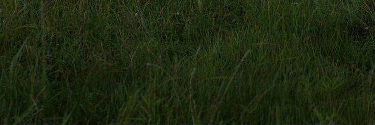 yoi____0's profile banner image