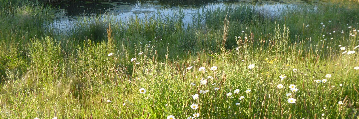 CornishSeaViews's profile banner image