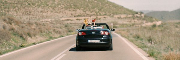 _adiosamores Profile Banner