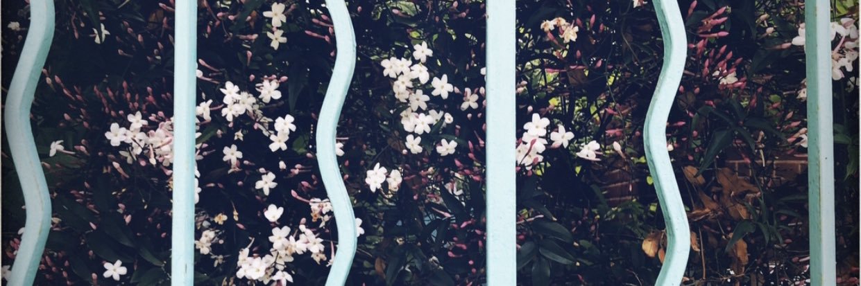 MSoleAnge's profile banner image