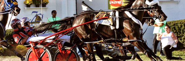 USHWA_ Profile Banner