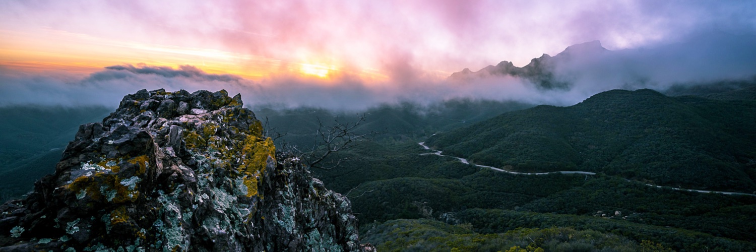 CatManDoesSocial banner