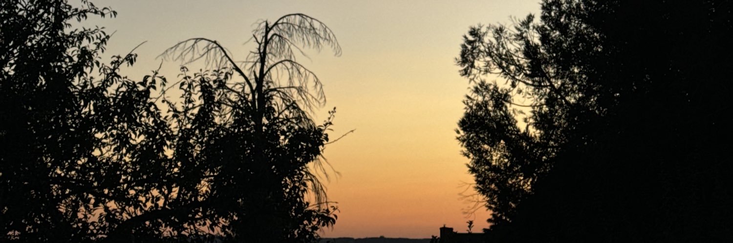 Brgelyz's profile banner image
