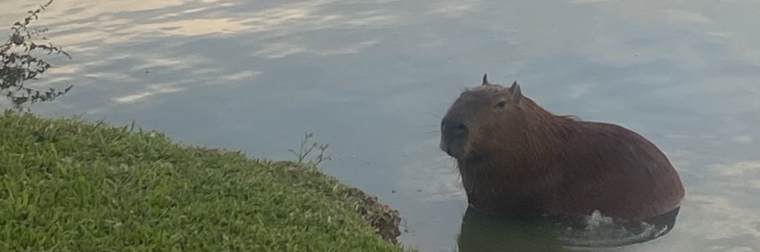 YWilpert's profile banner image