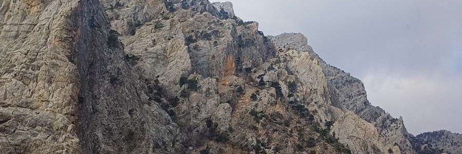 Sıla banner