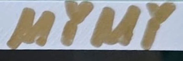 mimix1991 Profile Banner