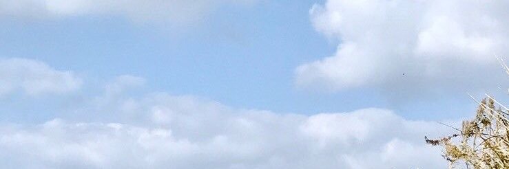 std phir. 💊 banner