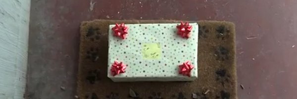 WillmancatJAM Profile Banner