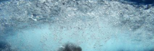 iolandatilli's profile banner image