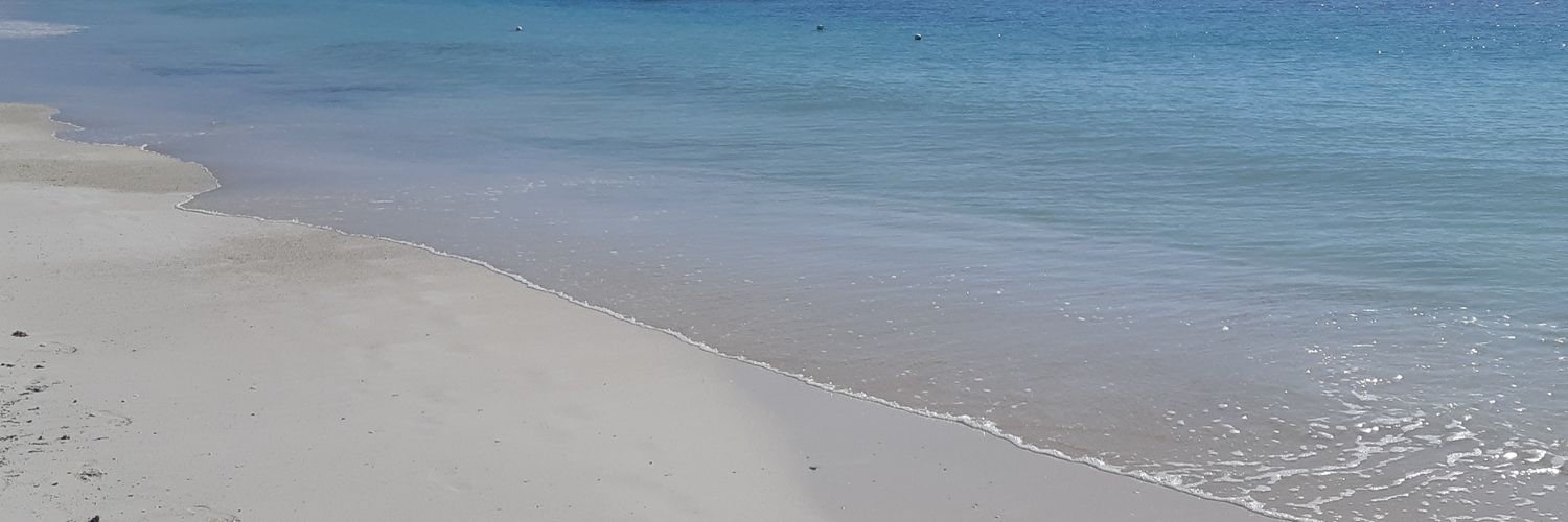 BlueFgc's profile banner image