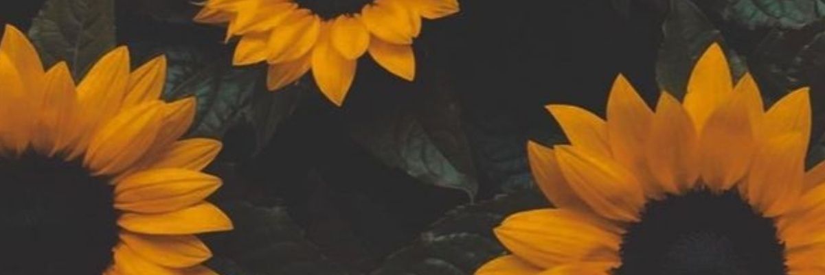Joycee1999's profile banner image