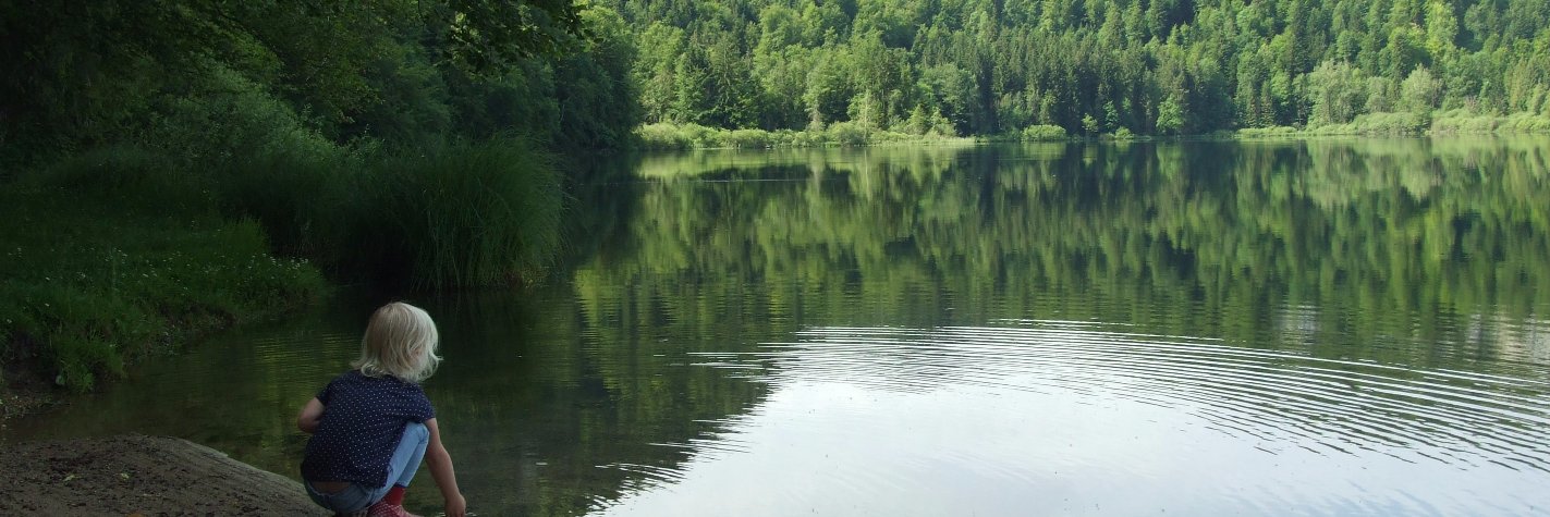 Bram van der Beek banner