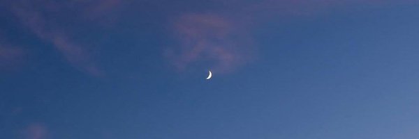 yomiyami2020 Profile Banner