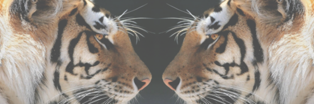 eimearbb's profile banner image