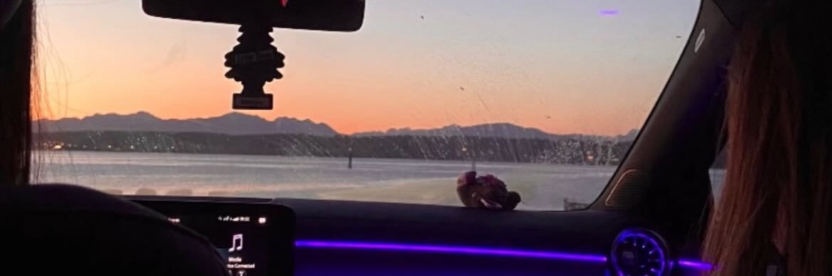 ネットヤンキー banner