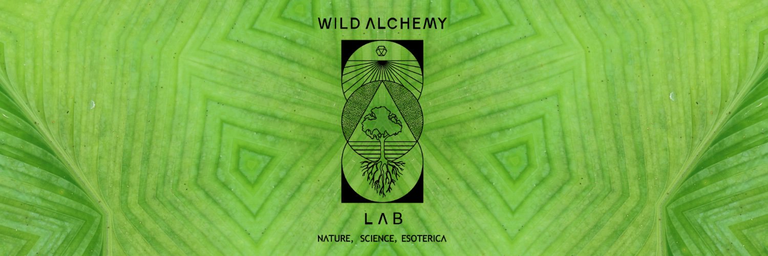 Wild Alchemy Lab banner