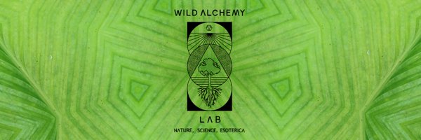 wildalchemylab Profile Banner