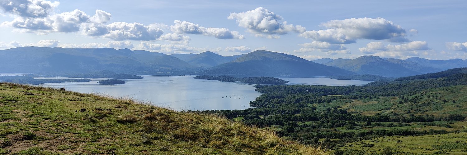 the_gelfling👾💙🇺🇦 banner